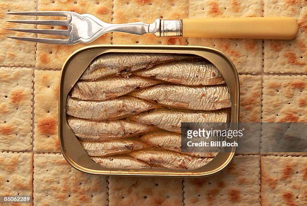 can of sardines on crackers - sardine imagens e fotografias de stock