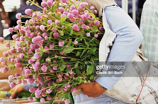 carrying flowers wrapped in newspaper - globe ameranth stockfoto's en -beelden