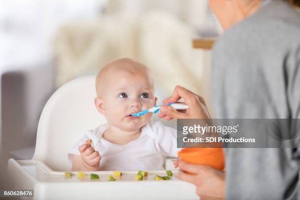 unrecognizable mom feeds baby an avocado - baby eating vegetables stock pictures, royalty-free photos & images