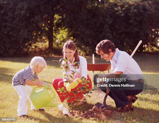 Family planting tree in backyard