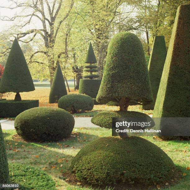 Topiary garden