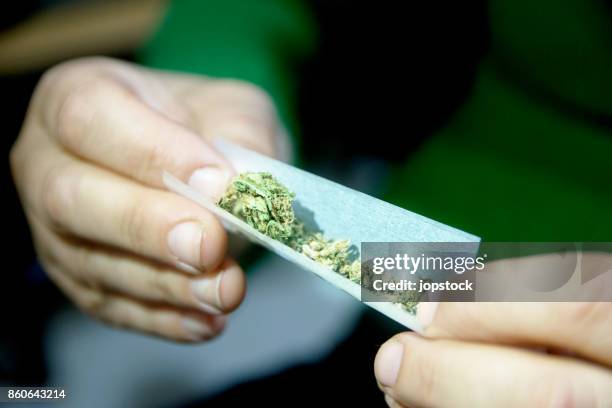 female hands rolling a marijuana joint - fumar temas sociales fotografías e imágenes de stock