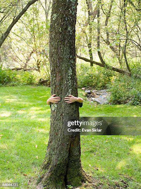 Object Behind Tree 557 Kids Hide Behind Tree Stock Photos, High-Res Pictures, and Images ...