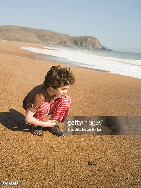 boy releasing loggerhead turtle back to sea - releasing stock pictures, royalty-free photos & images