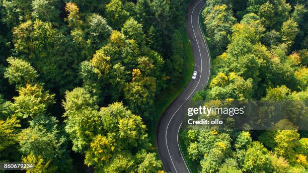 winding road through the forest - green colour car stock pictures, royalty-free photos & images