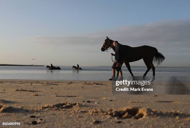 Gai Waterhouse trained horse English prepares for tomorrow's The Everest, at Botany Bay on October 13, 2017 in Sydney, Australia.