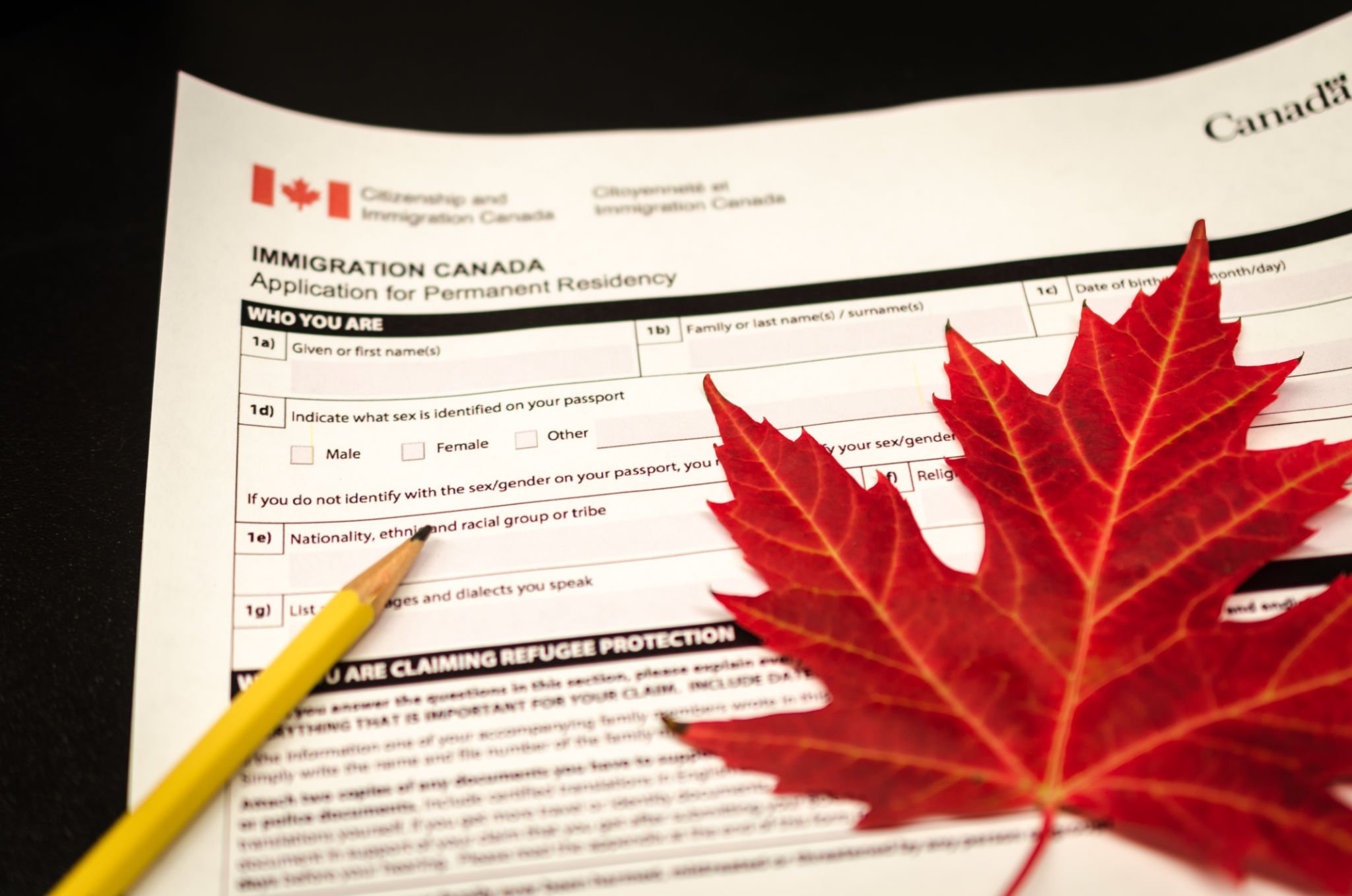 immigration application