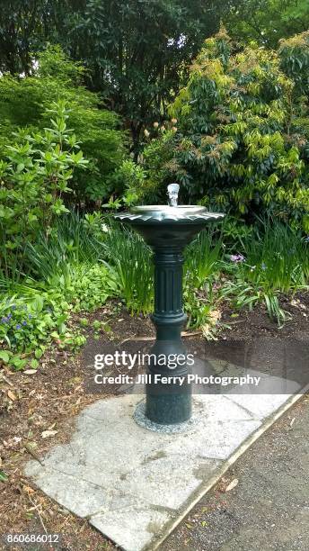 drinking fountain - drinking fountain stock pictures, royalty-free photos & images