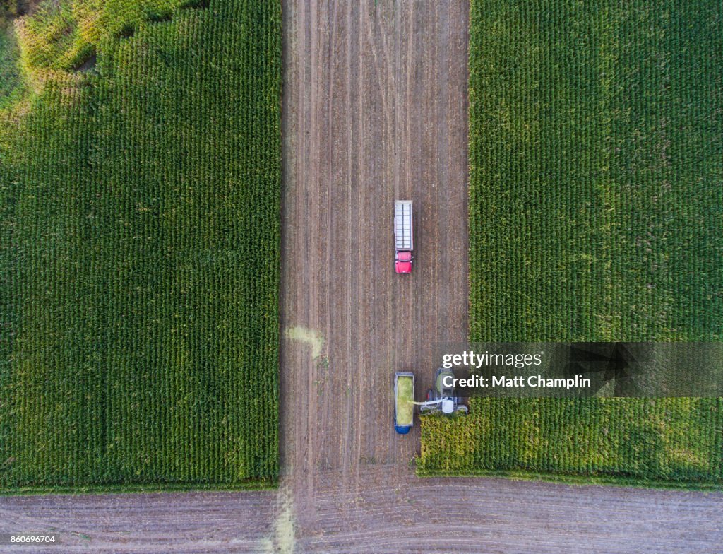 Aerial of Farm Equipment Harvesting Corn