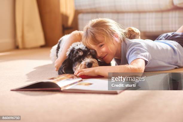 cudding her dog reading a book - cute animals cuddling stock pictures, royalty-free photos & images