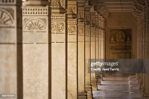 jain temple at palitana, gujarat, india - palitana stockfoto's en -beelden