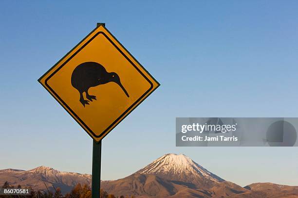 kiwi crossing sign and ngauruhoe volcano, tongariro national park, north island, new zealand - kiwi bird imagens e fotografias de stock