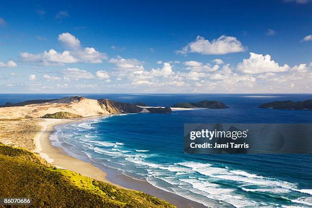 crashing ocean waves and coastline, cape reinga, north island, new zealand - região de northland imagens e fotografias de stock