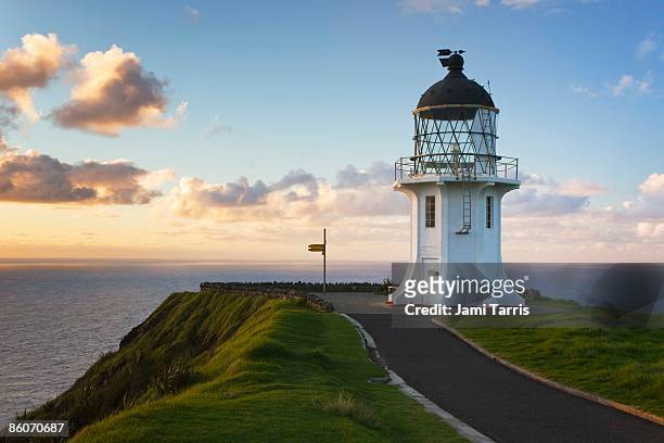 lighthouse on cliff with ocean, cape reinga, north island, new zealand - cape reinga lighthouse stock pictures, royalty-free photos & images