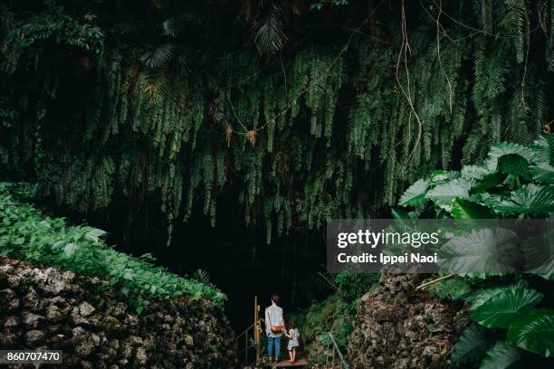mother and child with a cave covered by lush green vegetation - kagoshima prefecture fotografías e imágenes de stock