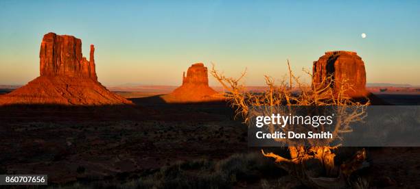 rising moon at sunset, monument valley - west mitten bildbanksfoton och bilder