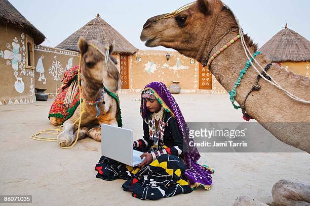 woman in sari by camels with laptop computer - rajasthani women stock pictures, royalty-free photos & images
