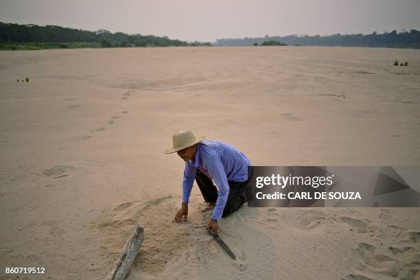 Benedito Clemente de Souza, a volunteer conservationist, hides turtle eggs near Volta do Bucho in the Western Amazon region, on September 19, 2017. -...