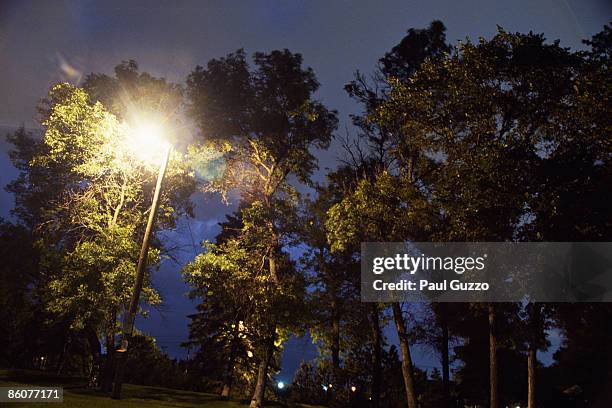 park,     winnipeg,     canada - winnipeg park stock pictures, royalty-free photos & images