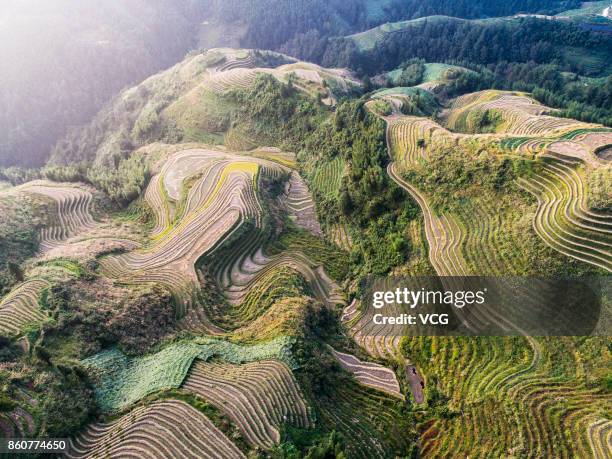 Aerial view of Longsheng Rice Terrace after the harvest on October 8, 2017 in Guilin, Guangxi Zhuang Autonomous Region of China.