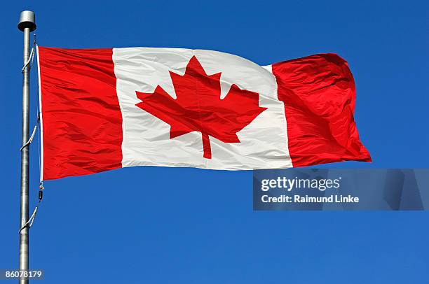 canadian flag on blue sky - bandiera del canada foto e immagini stock