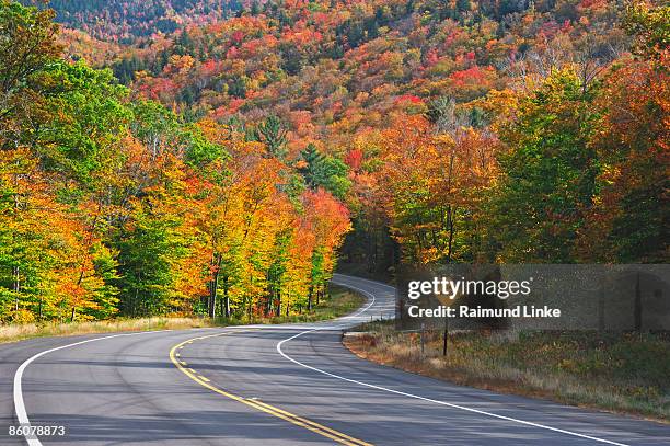 , kancamagus highway in autumn , white mountain national forest , new hampshire , - white mountain nationalforst stock-fotos und bilder