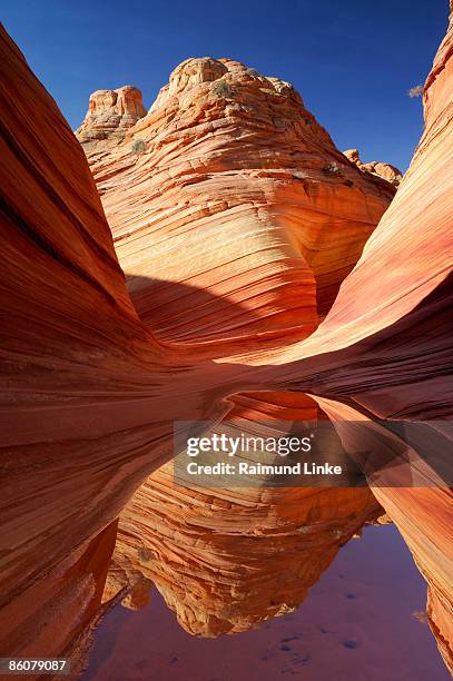 coyote buttes , paria canyon-vermillion cliffs wilderness - paria canyon foto e immagini stock