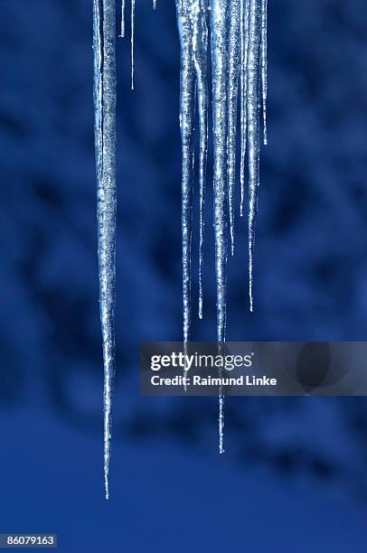 icicles - icicles stock pictures, royalty-free photos & images