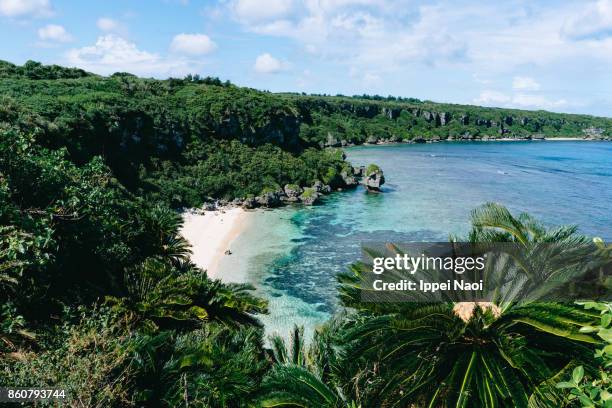 scenic tropical beach, okinoerabu island of amami gunto national park, japan - 鹿児島 ストックフォトと画像