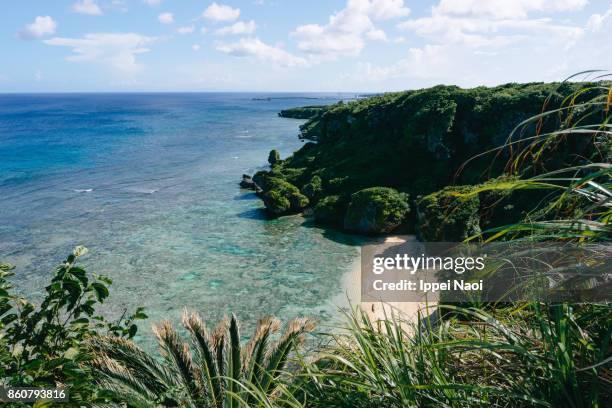 Aamami 622 Amami Islands Stock Photos, High-Res Pictures, and Images - Getty ...