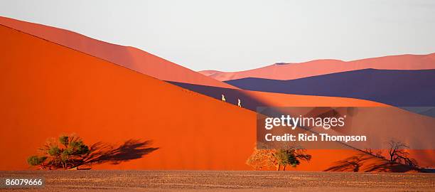 people walking up sand dune , sossusvlei , sesriem , namib desert , namibia - dead vlei namibia stock pictures, royalty-free photos & images