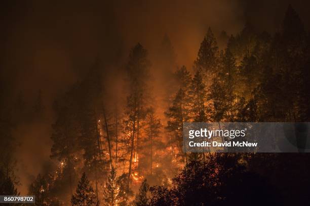 Wildfire creeps through the forest, down the south side of Dry Creek Canyon, at the Partrick Fire on October 12, 2017 west of Napa, California....