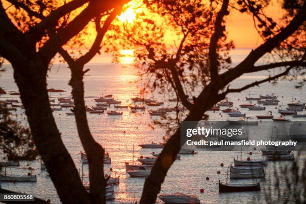 sunrise over palafrugell coastline - calella de palafrugell photos et images de collection