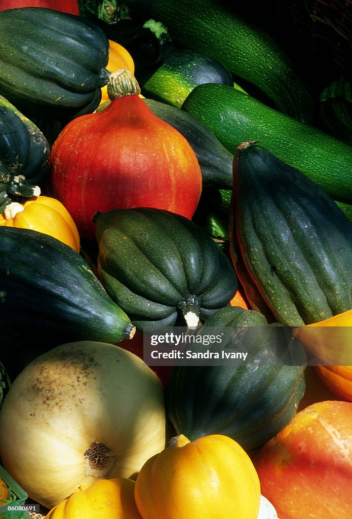 Assortment of squash