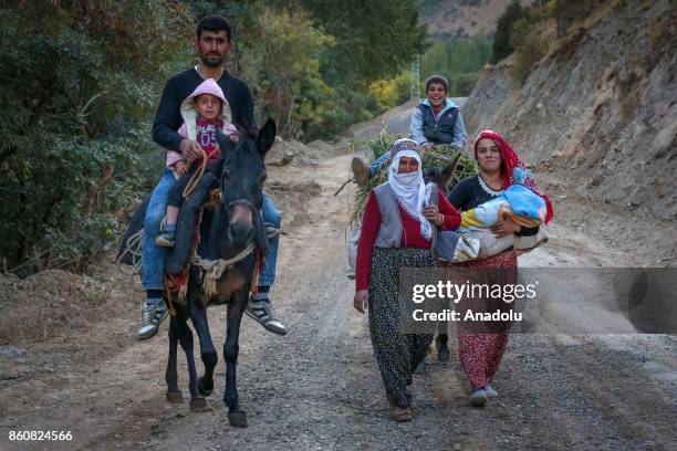 Turkey Riding Donkey 865 Catak Stock Photos, High-Res Pictures, and Images - Getty Images