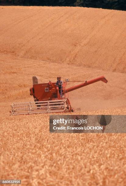 Moissonneuse batteuse dans un champ de blé en juillet 1976 en Picardie, France.