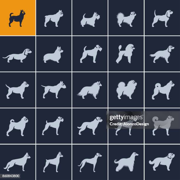 ilustraciones, imágenes clip art, dibujos animados e iconos de stock de iconos de la raza de perro - basset hound