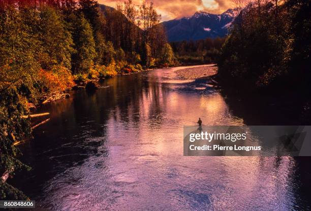 flyfishing - non-recognizable fly fisherman salmon fishing in south western british columbia in one of many creeks and rivers going into howe sound between vancouver and squamish, british columbia, canada - trout fishing stock pictures, royalty-free photos & images