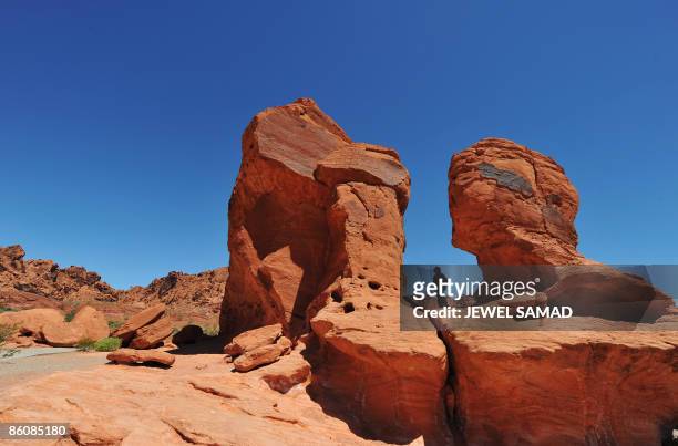Visitor admires red sandstone formations on April 20, 2009 at the Valley of Fire State Park in Carson City, Nevada, located only six miles from Lake...