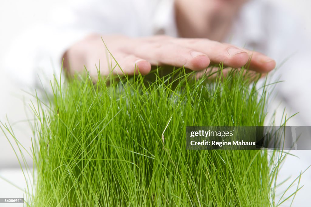 Hand touching the grass