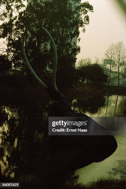 Model of a mammoth rises out of the La Brea Tar Pits, Los Angeles, March 1975.