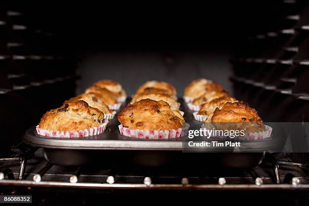 muffins baking in an oven. - muffin stockfoto's en -beelden