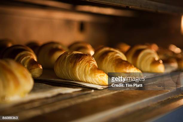 croissants in a bakers oven. - pastry imagens e fotografias de stock