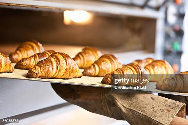 freshly baked croissants on baking tray. - french croissant stock pictures, royalty-free photos & images