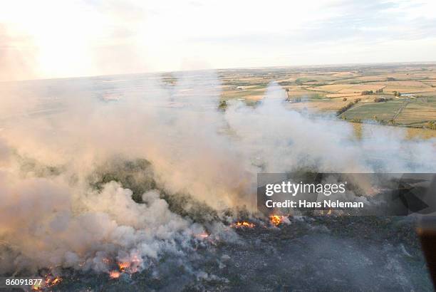 forest fire in canelones uruguay - canelones stock pictures, royalty-free photos & images