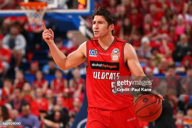 Damian Martin of the Wildcats brings the ball up the court during the round two NBL match between the Perth Wildcats and the Illawarra Hawks at Perth...