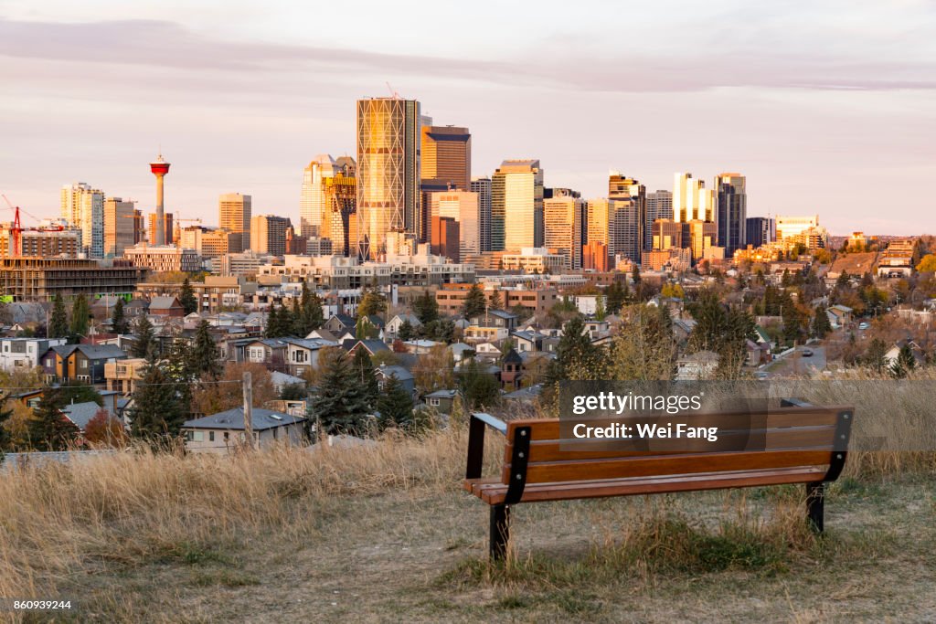 Bench for Skyline View
