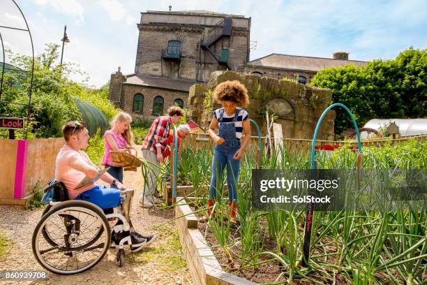 jardinería en la granja - jardín de la comunidad fotografías e imágenes de stock