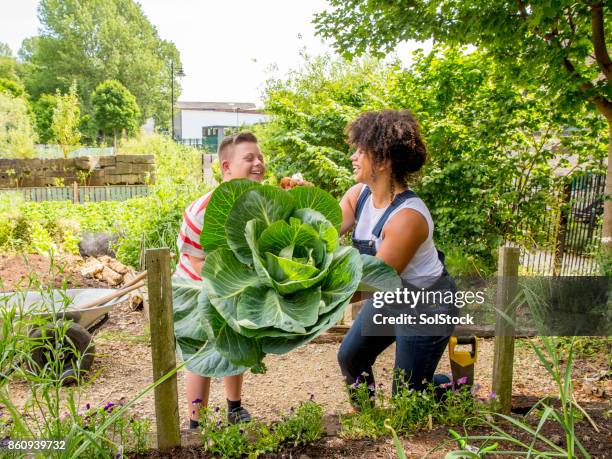 gardening at the farm community garden - charity education stock pictures, royalty-free photos & images