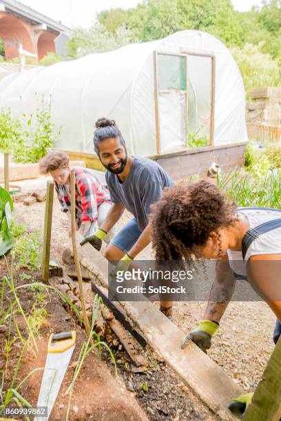 helping out at the farm - community garden volunteer stock pictures, royalty-free photos & images